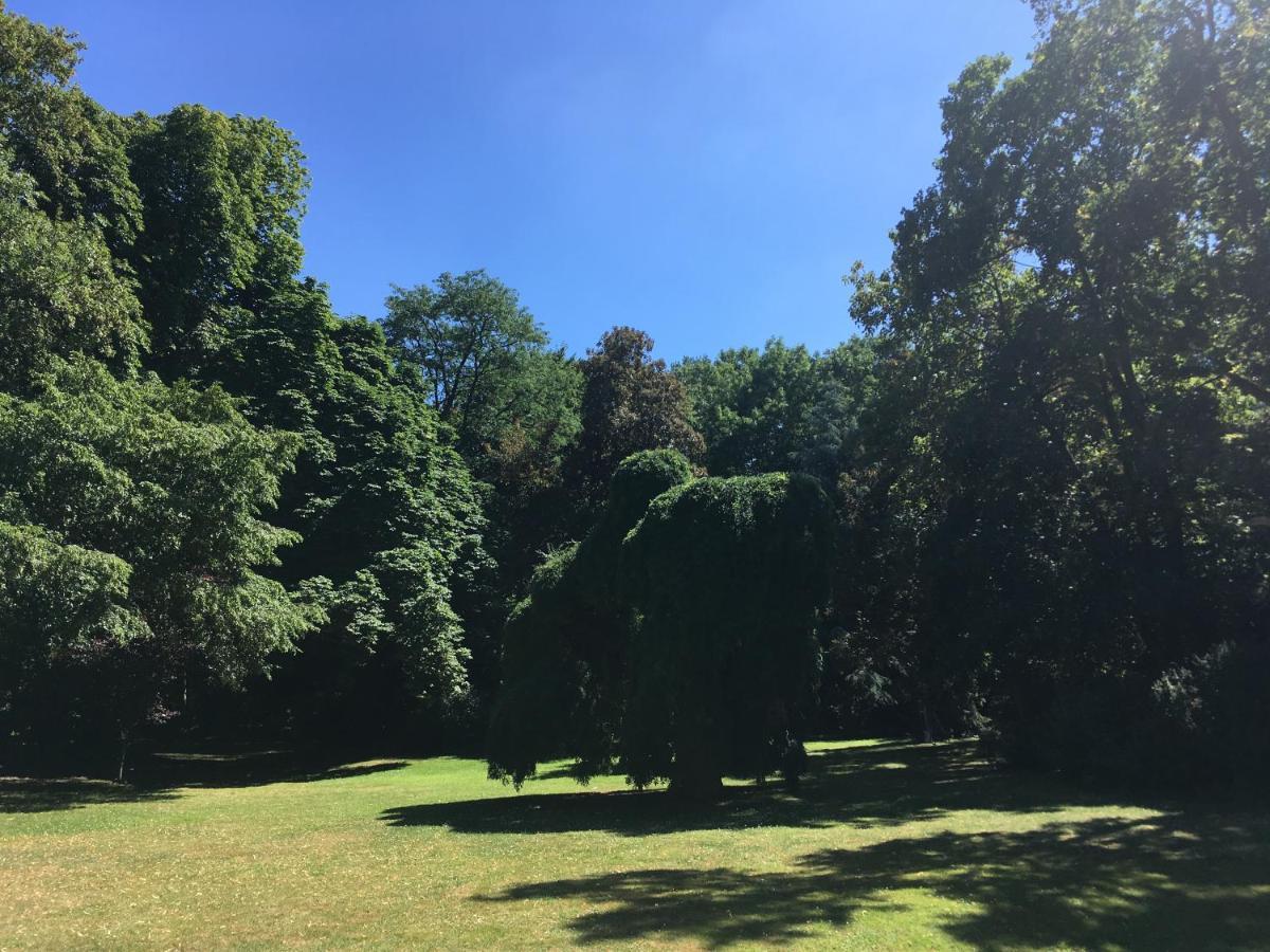 Le Chateau D'Hermonville B&B / Chambres D'Hotes Bagian luar foto