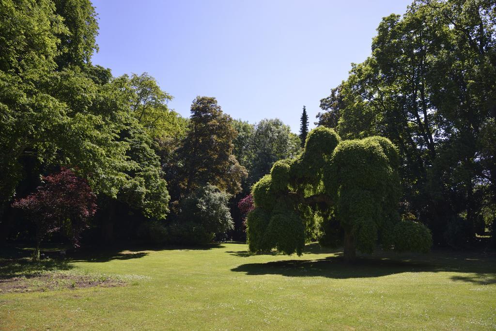 Le Chateau D'Hermonville B&B / Chambres D'Hotes Bagian luar foto