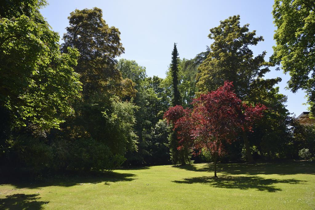 Le Chateau D'Hermonville B&B / Chambres D'Hotes Bagian luar foto