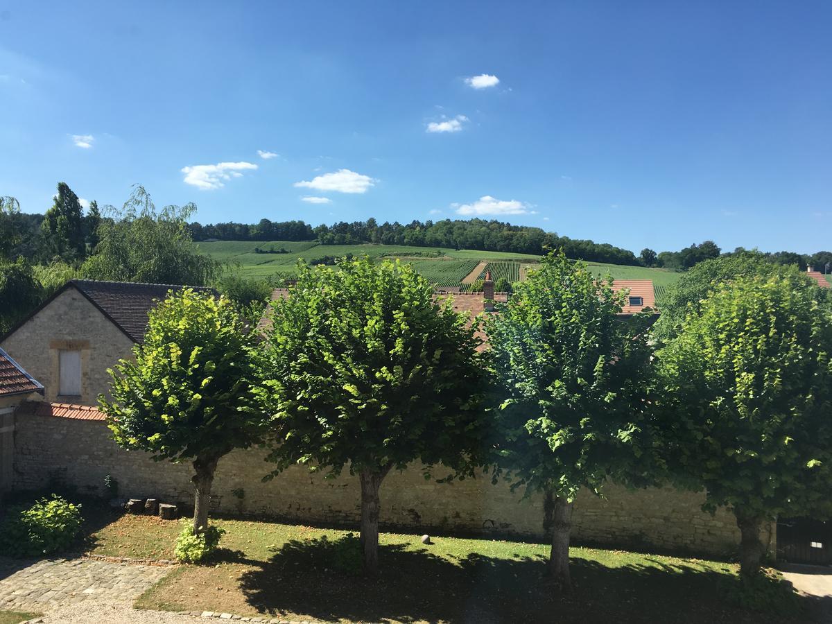 Le Chateau D'Hermonville B&B / Chambres D'Hotes Bagian luar foto